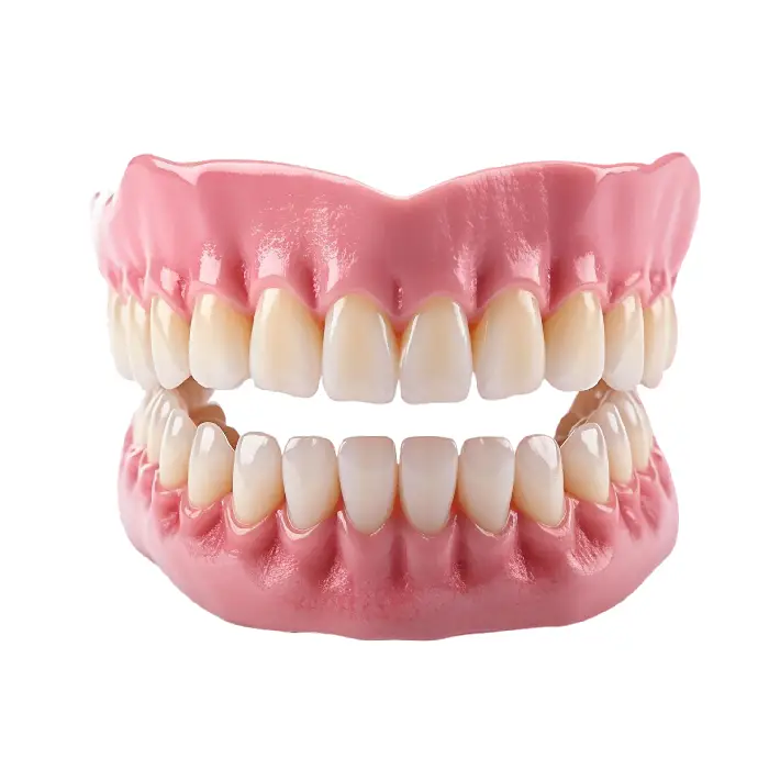3d model of a yellowish teeth