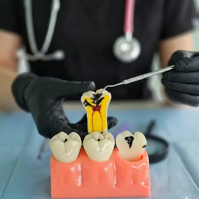 Dentist performing root canal therapy